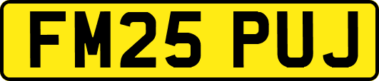 FM25PUJ