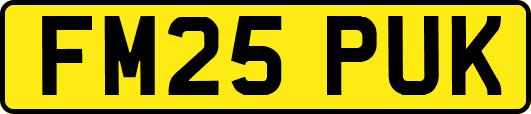 FM25PUK