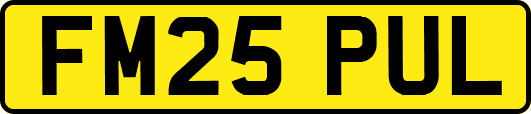FM25PUL