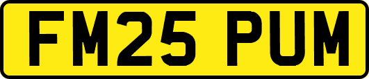 FM25PUM
