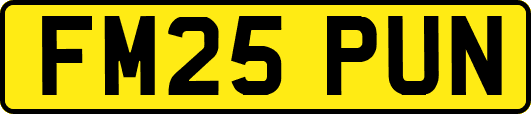 FM25PUN