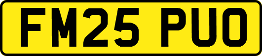 FM25PUO