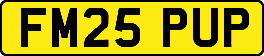 FM25PUP