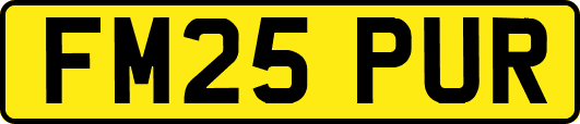 FM25PUR