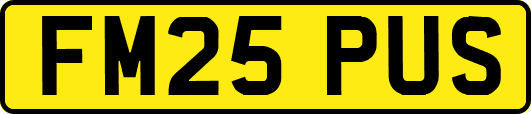 FM25PUS