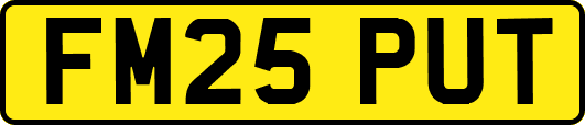 FM25PUT