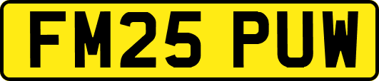 FM25PUW