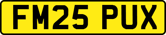 FM25PUX
