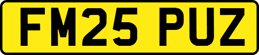 FM25PUZ