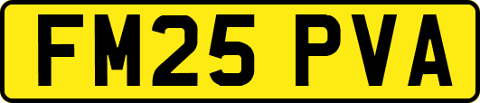 FM25PVA