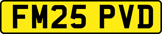 FM25PVD