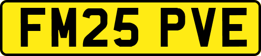FM25PVE