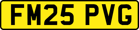 FM25PVG