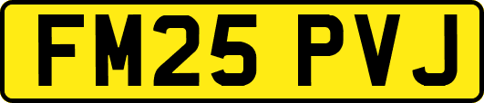FM25PVJ