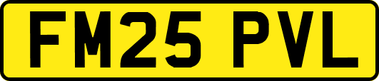 FM25PVL