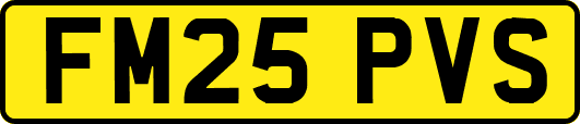 FM25PVS