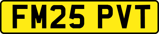 FM25PVT