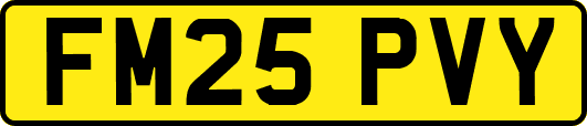FM25PVY