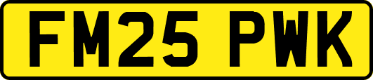 FM25PWK