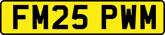 FM25PWM