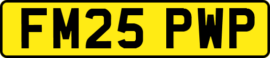 FM25PWP