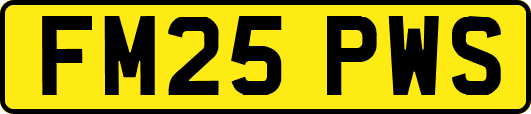 FM25PWS