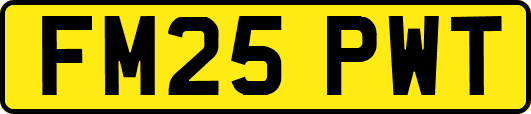 FM25PWT