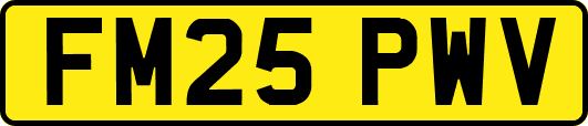 FM25PWV