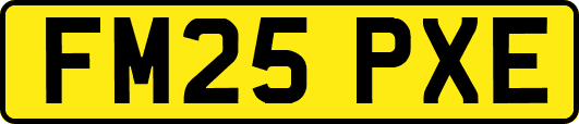 FM25PXE
