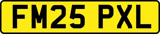 FM25PXL