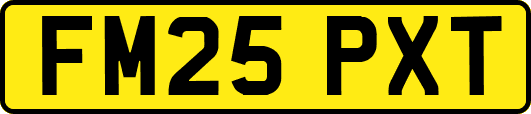 FM25PXT