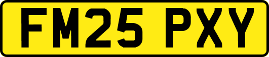 FM25PXY