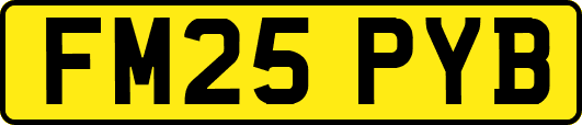 FM25PYB