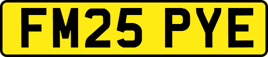 FM25PYE