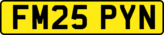 FM25PYN