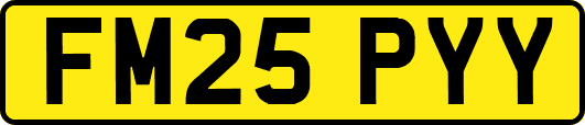 FM25PYY