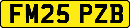 FM25PZB