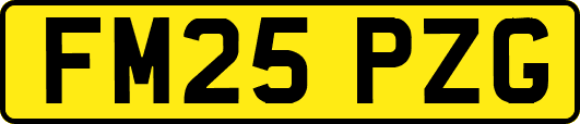 FM25PZG