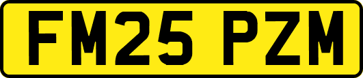 FM25PZM