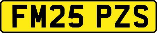 FM25PZS