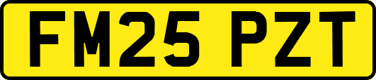 FM25PZT