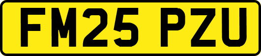FM25PZU