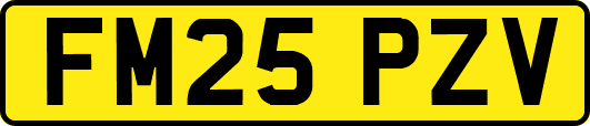 FM25PZV