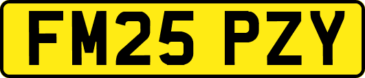 FM25PZY