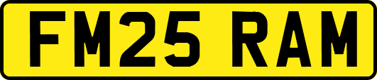 FM25RAM