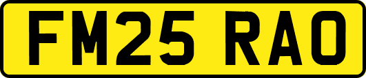 FM25RAO