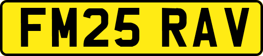 FM25RAV