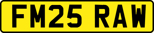FM25RAW