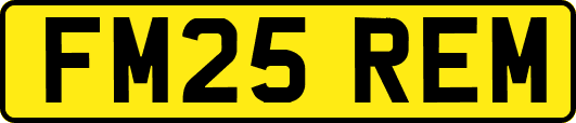 FM25REM