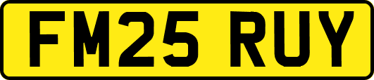 FM25RUY